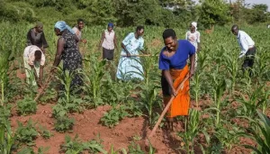 AFAN, Stakeholders To Address Challenges Facing Farmers 
