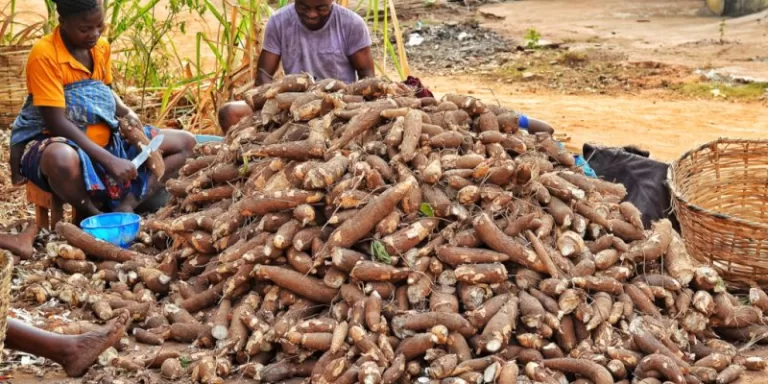 More Than 100 Bauchi Farmers Receive FG Training