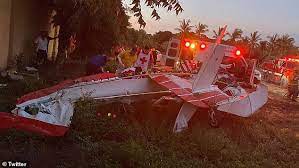 Pilot dies after plane crash during gender reveal
