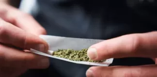 7 Cannabis Misuse Consequences