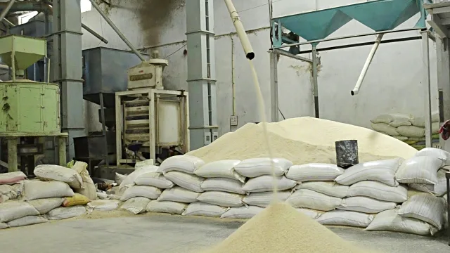 rice processing