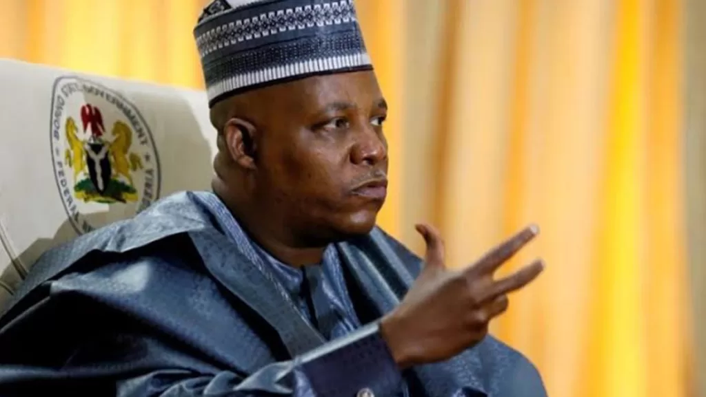 Vice President Shettima Loses Stepmother