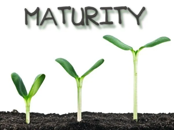6 Simple Ways To Become More Mature