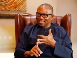 Abuja Looting: Peter Obi Share Two Cents