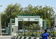 Panic In Borno As Fire Guts Governor’s Office
