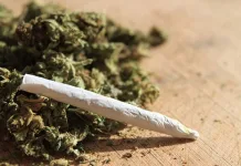 NDLEA Intercepts Cannabis In Kwara State