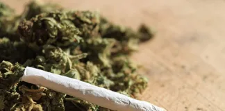NDLEA Intercepts Cannabis In Kwara State