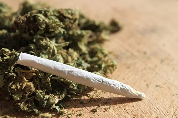 NDLEA Intercepts Cannabis In Kwara State 