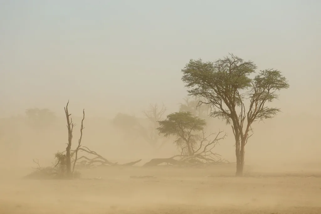 Dust Haze To Hit Nigeria For Three Days