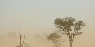 Dust Haze