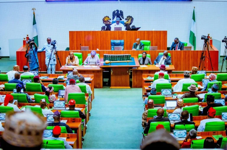 Tinubu’s 2024 Budget Proposal Passes Second Reading At House Of Reps