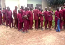399 inmates freed from Kaduna prison