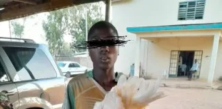 Adamawa Teenager Lands In Police Custody For ‘Raping’ A Chicken