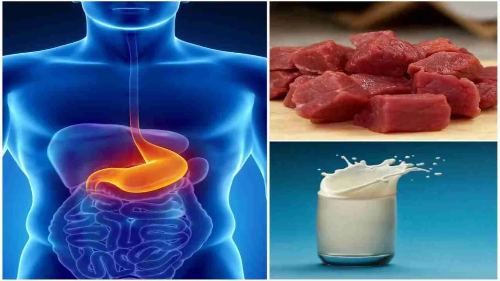 Five Things To Avoid If You Have A Stomach Ulcer