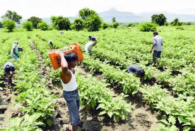 Make Agriculture more attractive to Youth