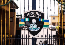 Port Harcourt Woman Arrested After Attempting To Sell 5-Year-Old Son In Market