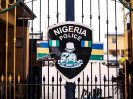 Abuja: How Police Officer Killed Man With Teargas Canister