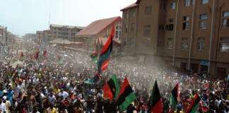 Why Ndigbos Must Not Protest Against Tinubu’s Government— IPOB