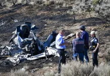 Photos From Helicopter Crash Site Involving Access Holdings CEO Herbert Wigwe
