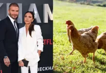 Beckham Receives Unusual Valentine's Day Gift From Wife