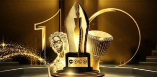 AMVCA 2024: Meet The Nominees