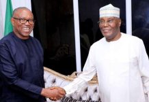 2027 Election: Atiku Reveals Only Way To Step Down For Peter Obi