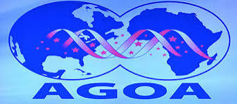 Will Nigeria Benefit From AGOA Trade Pact Extension 
