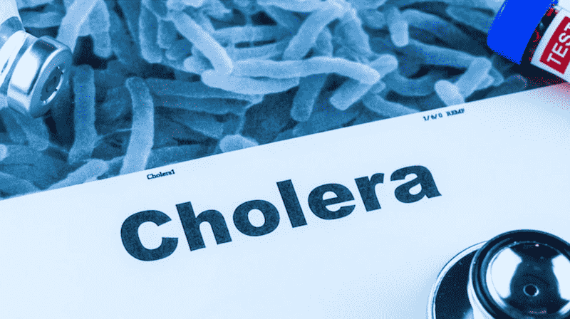 WHO Reports Cholera Resurgence: 195,000 Cases, 1,900 Deaths In 24 Countries