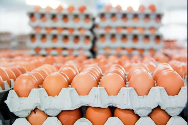 Inflation: See Price Of Egg In Enugu State