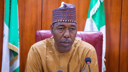 Governor Zulum Denies Son’s Arrest After Nightclub Fight In India