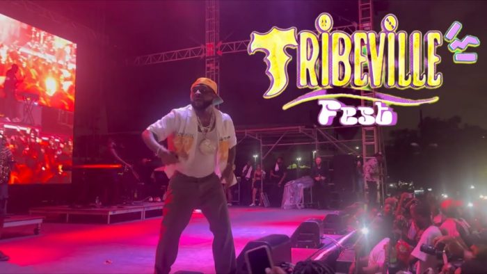 Davido, Young Jonn, Wande Coal And Others Steal The Show At Tribeville Festival 2024