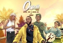 Davido's New Featured Song, Ogechi, Tops The Charts In Eight Countries.