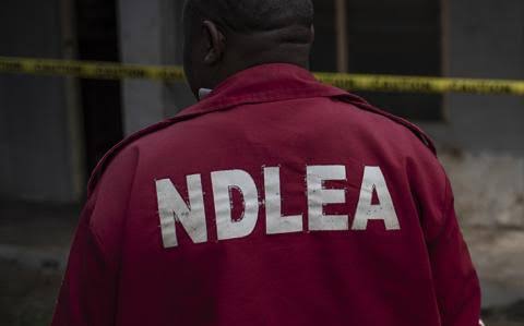 NDLEA Set To Test Students For Drugs Before Uni Admission