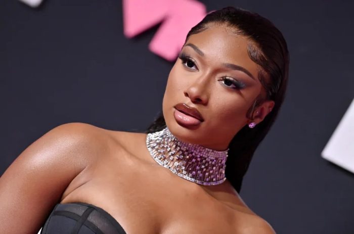 Megan Thee Stallion To Host 2024 MTV VMAS