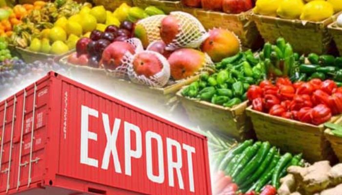 Export Market In Africa Set For A Brighter Future, Expert Predicts