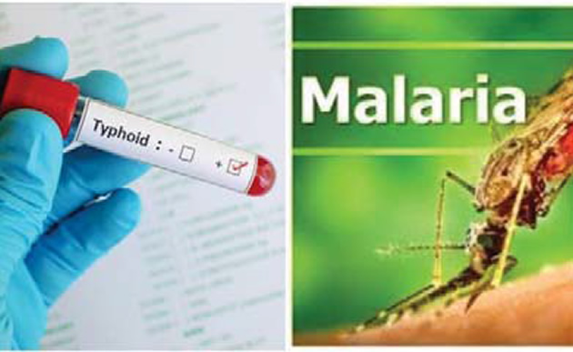 5 Key Differences Between Malaria And Typhoid