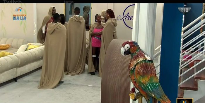 BBNaija S9: Biggie Brings Back Parrot In BBNaija House