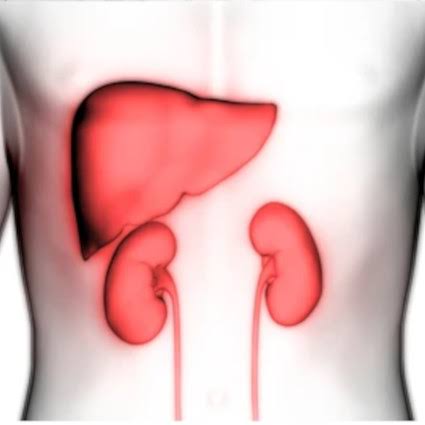 5 Every Morning Habits To Detox Your Kidney And Liver