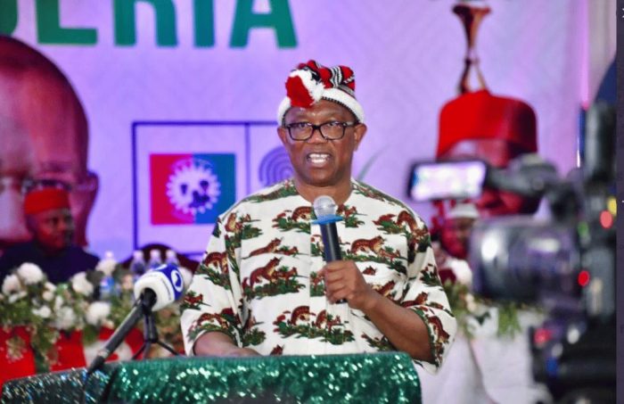 Super Eagles Vs Libya: Peter Obi Finally Weighs In