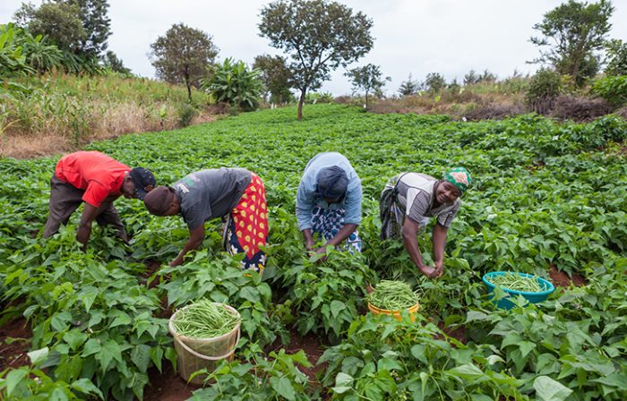 FG Advocates For Broader Implementation Of USAID’s ‘Feed The Future’ Initiative