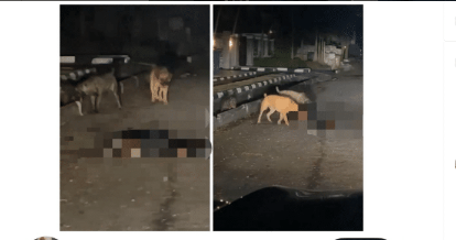 Tragedy As Lagos Security Guard Became Meal For Uncaged Dogs, Police React