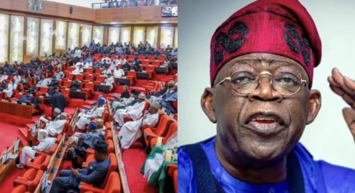 Nigerian Senate Approves Tinubu’s $2.2 Billion Loan Request