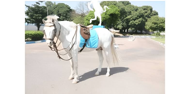 Nigeria Army Pays Final Respect To Late Military Horse