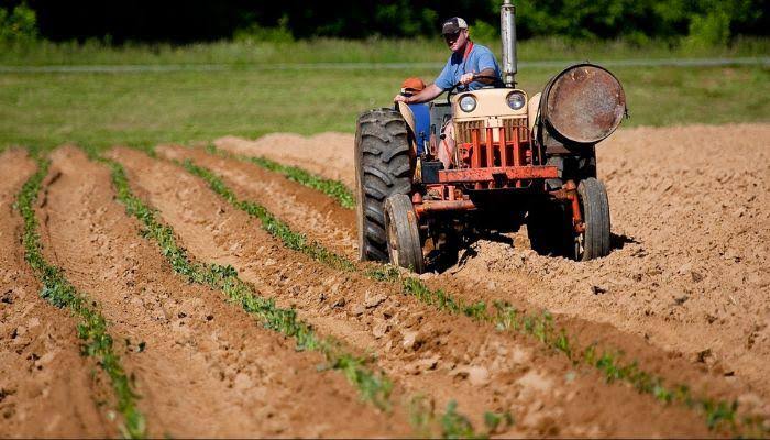 FG Food Production