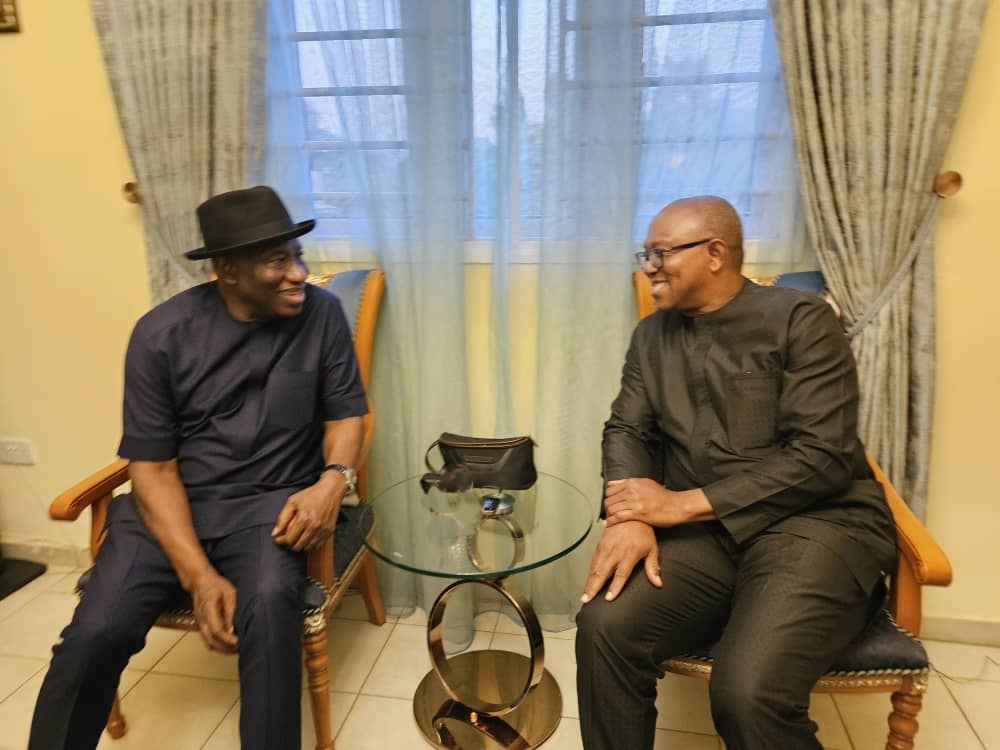 See Details Of Peter Obi's Meeting With Goodluck Jonathan