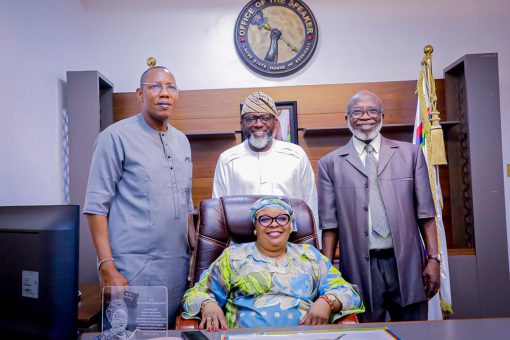 Lagos House of Assembly new speaker