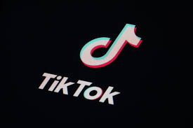 'Trump Vows To Prevent TikTok Shutdown'- Incoming National Security Adviser