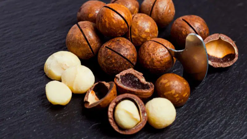 Shea Nuts: The Hidden Power Nigeria Unlocks With Tinubu’s Latest Ban