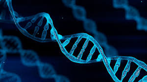 DNA Testing In Nigeria: Report Shows 1 In 4 Fathers Not Biological Parent
