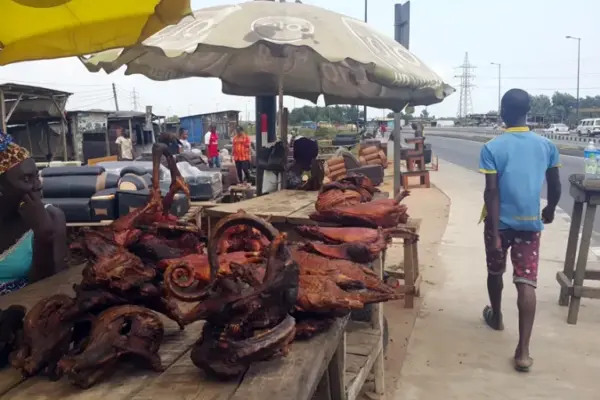 Bushmeat Rise In Nigeria Alarms Doctors